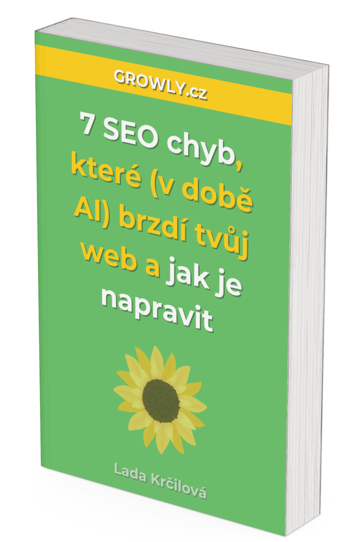 časté chyby v SEO: Praxí nabité PDF, které ukazuje, jak na zpětné odkazy, technikcé SEO, klastrovou publikaci, linkbuilding a další