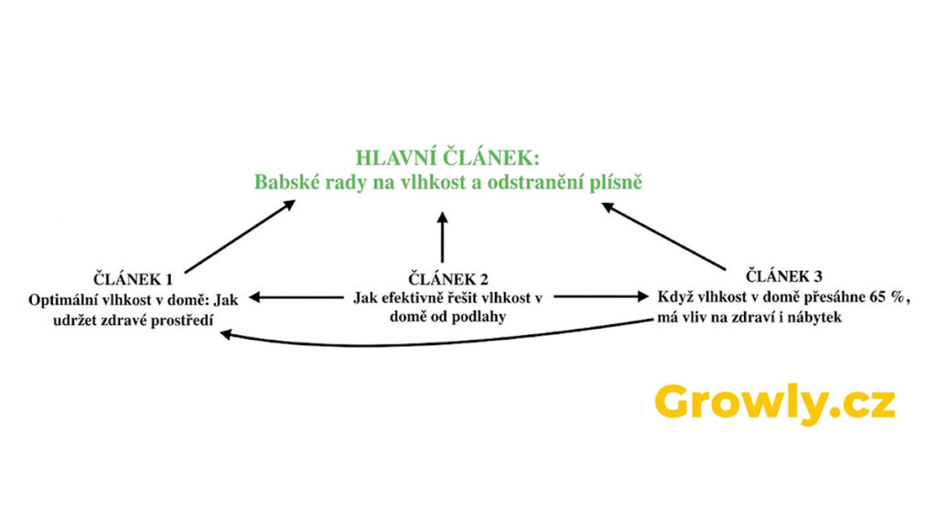SEO klastry - příklad, jak je možné je tvořit, na webu Growly.cz